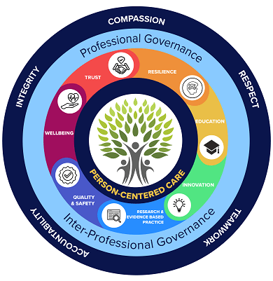 professional practice model
