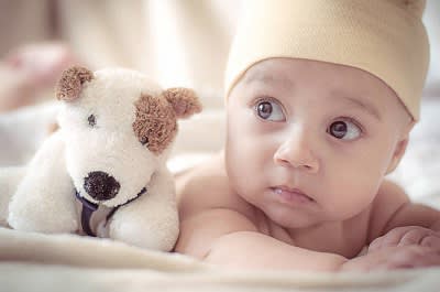 baby with a stuffed toy