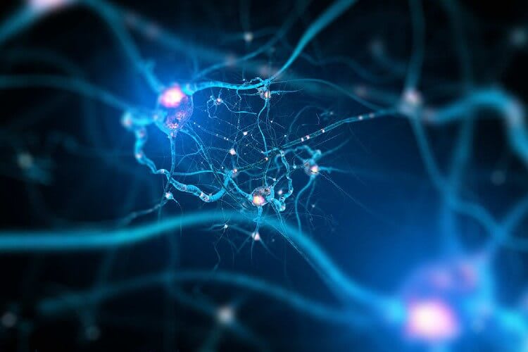 nerve