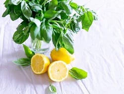 Basil and lemon