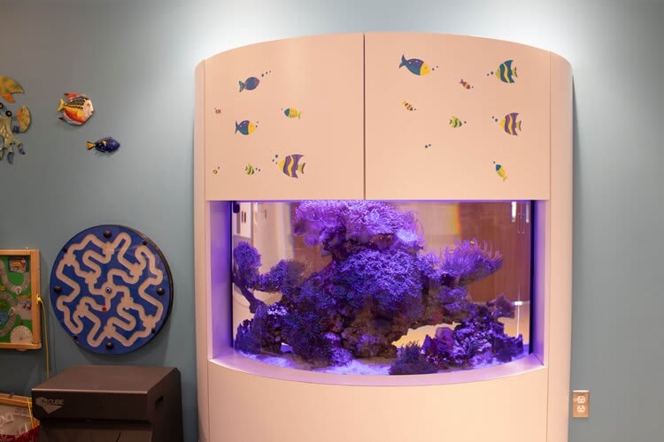 an aquarium
