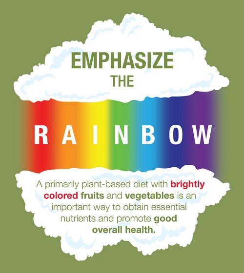 nutrition infographic