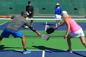 8609318c17044d2b9cee91f5e11e47f1Pickleball