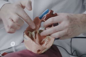 Stamford-HVI_TAVR_video_thumb