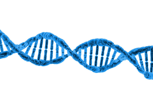 DNA Chain